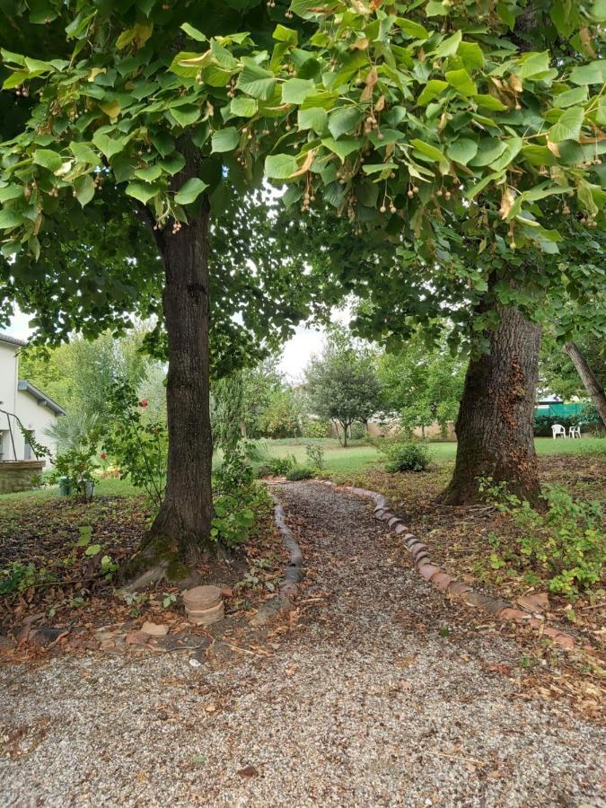 Apartamento Ô Nature chéris mes voeux avant qu'ils s'enfuient Francescas Exterior foto